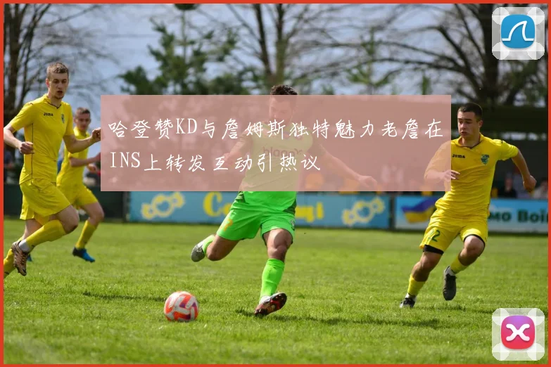 哈登赞KD与詹姆斯独特魅力老詹在INS上转发互动引热议