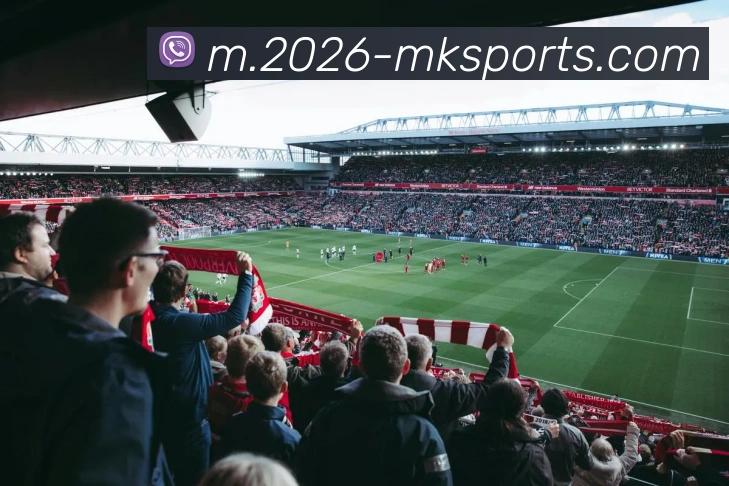 MK体育APP 封面图